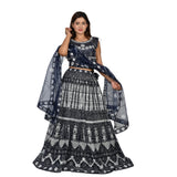 Celestial Blue Net Lehenga Set with Silver Embroidery