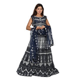 Celestial Blue Net Lehenga Set with Silver Embroidery