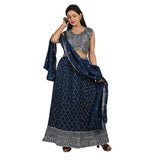 Blue and Silver Embroidered Lehenga